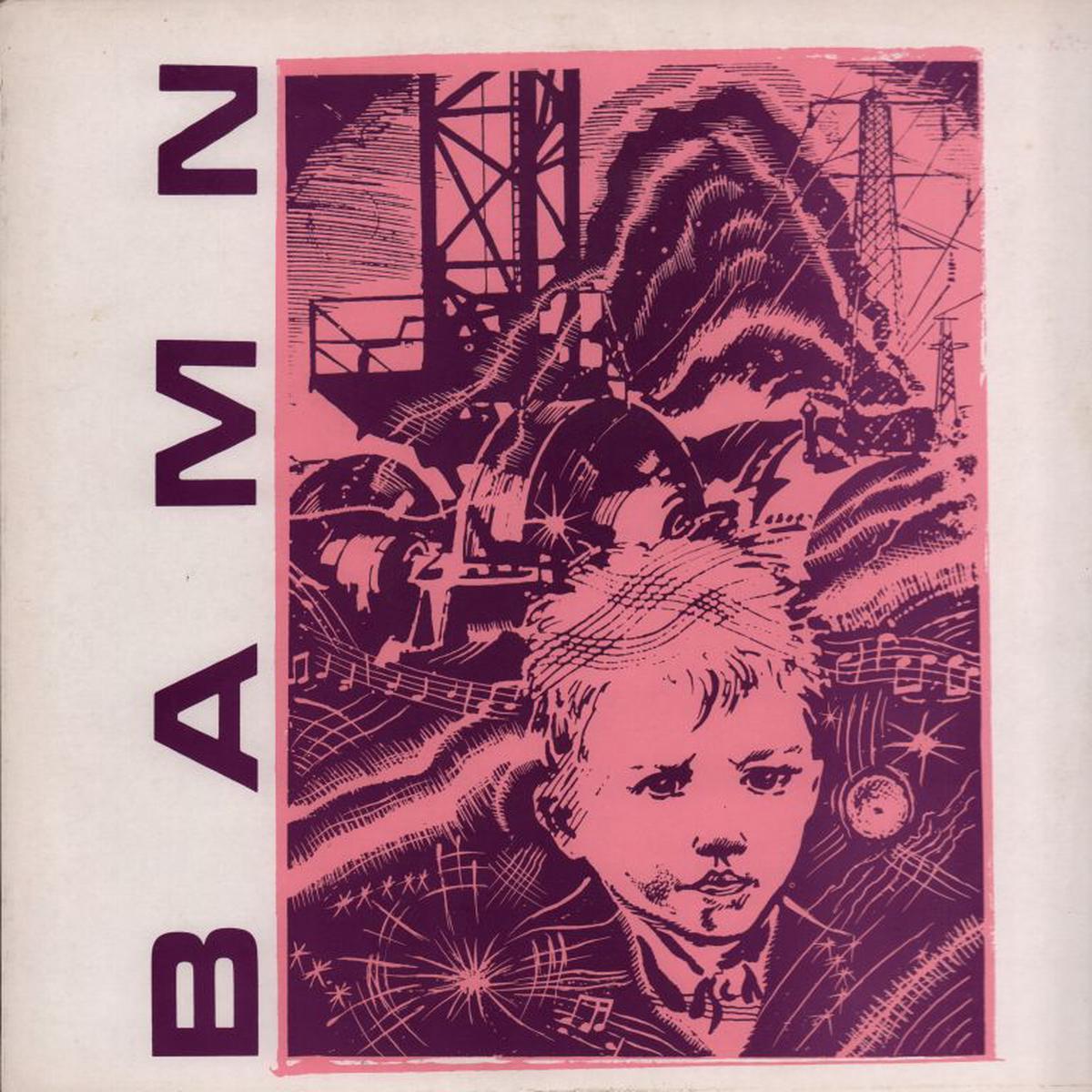 Bamn-Simulation-12  Vinyl-VG+/VG