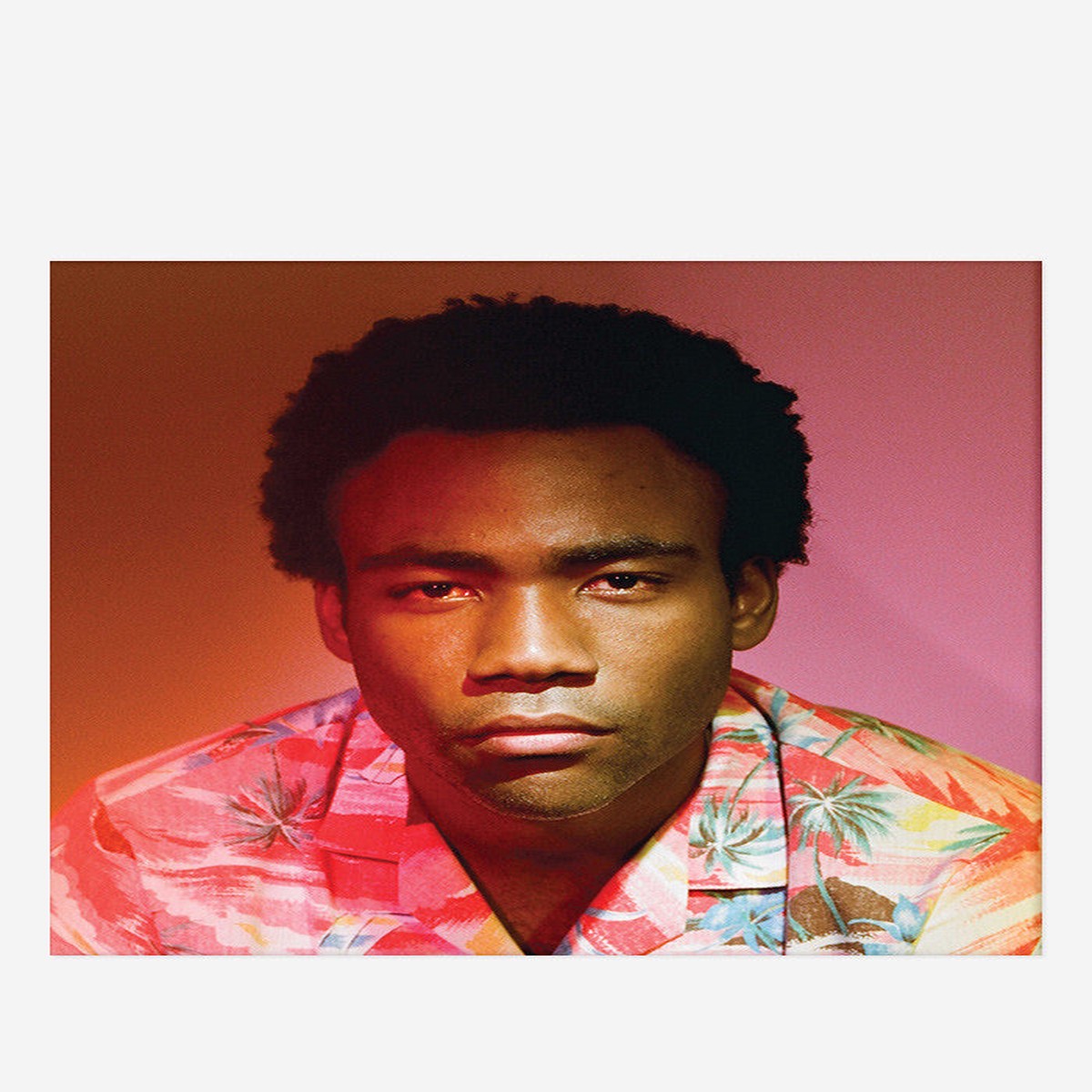 Because The Internet 2 LP