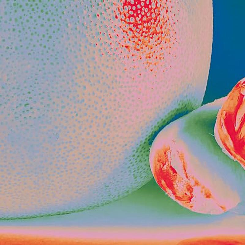 Citrus Citrus – Albedo Massima [VINYL]