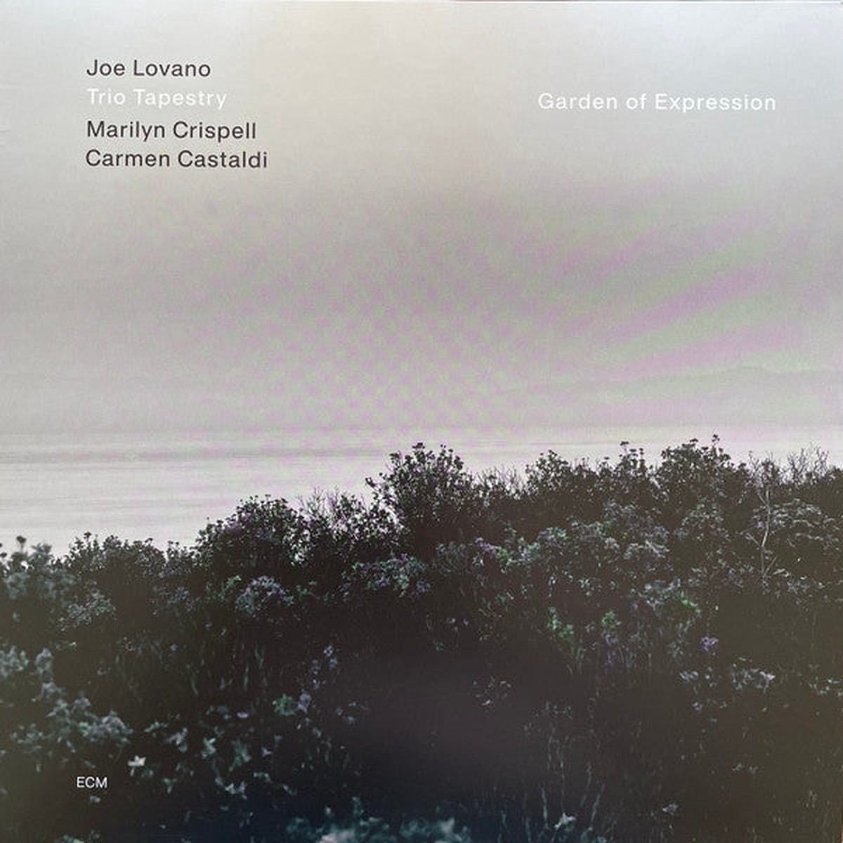 Lovano, Joe / Garden Of Expression – Garden Of Expression [Vinyl]