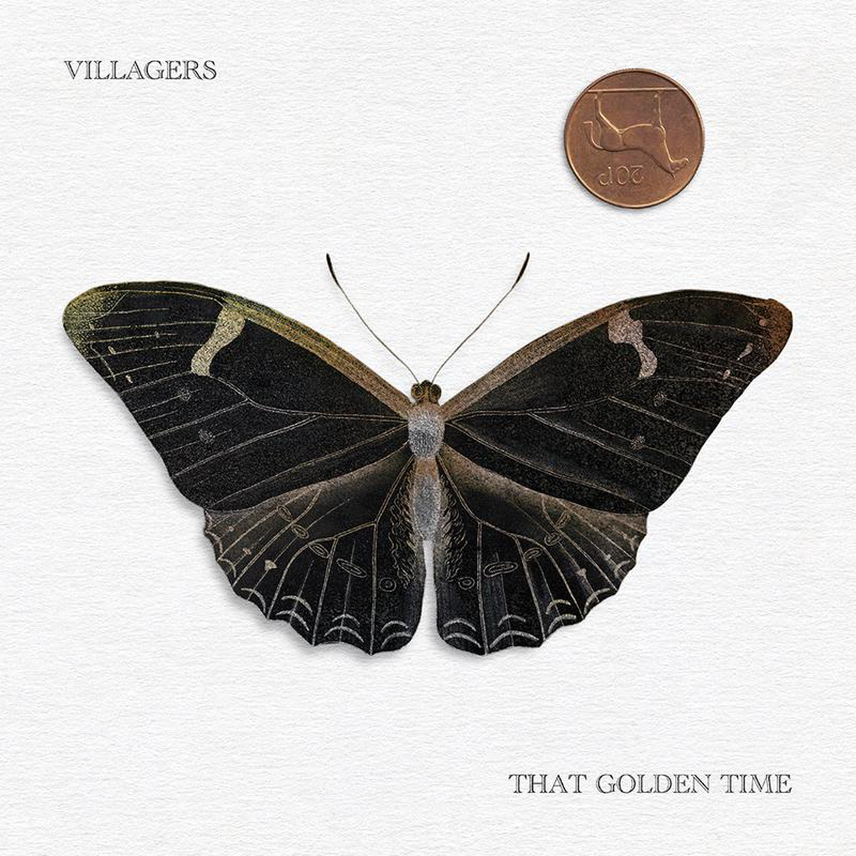 VILLAGERS 8211 That Golden Time 8211 Black Vinyl