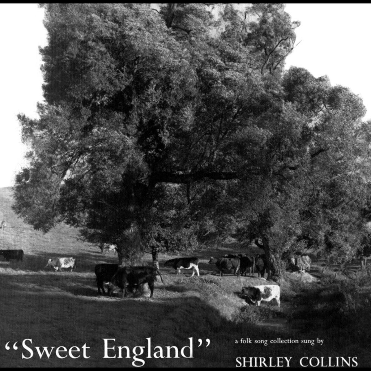 Shirley Collins 8211 Sweet England LP