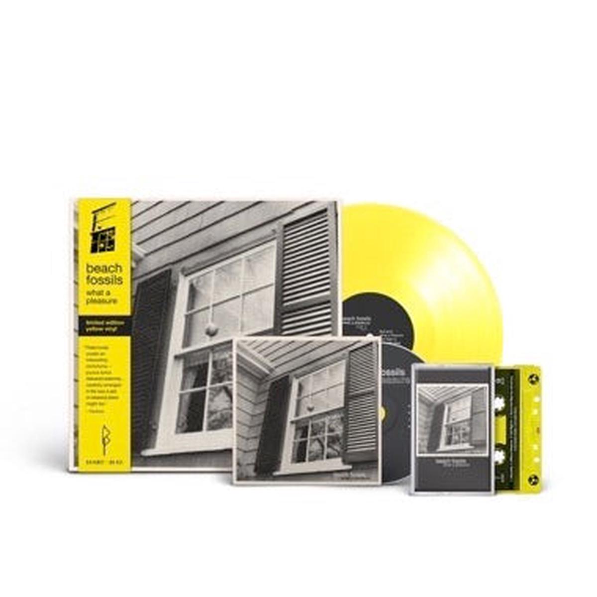 Beach Fossils – What A Pleasure