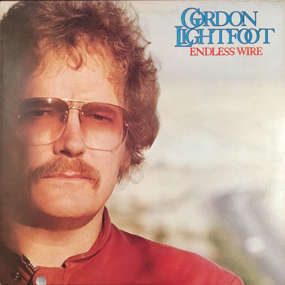 Gordon Lightfoot – Endless Wire – LP