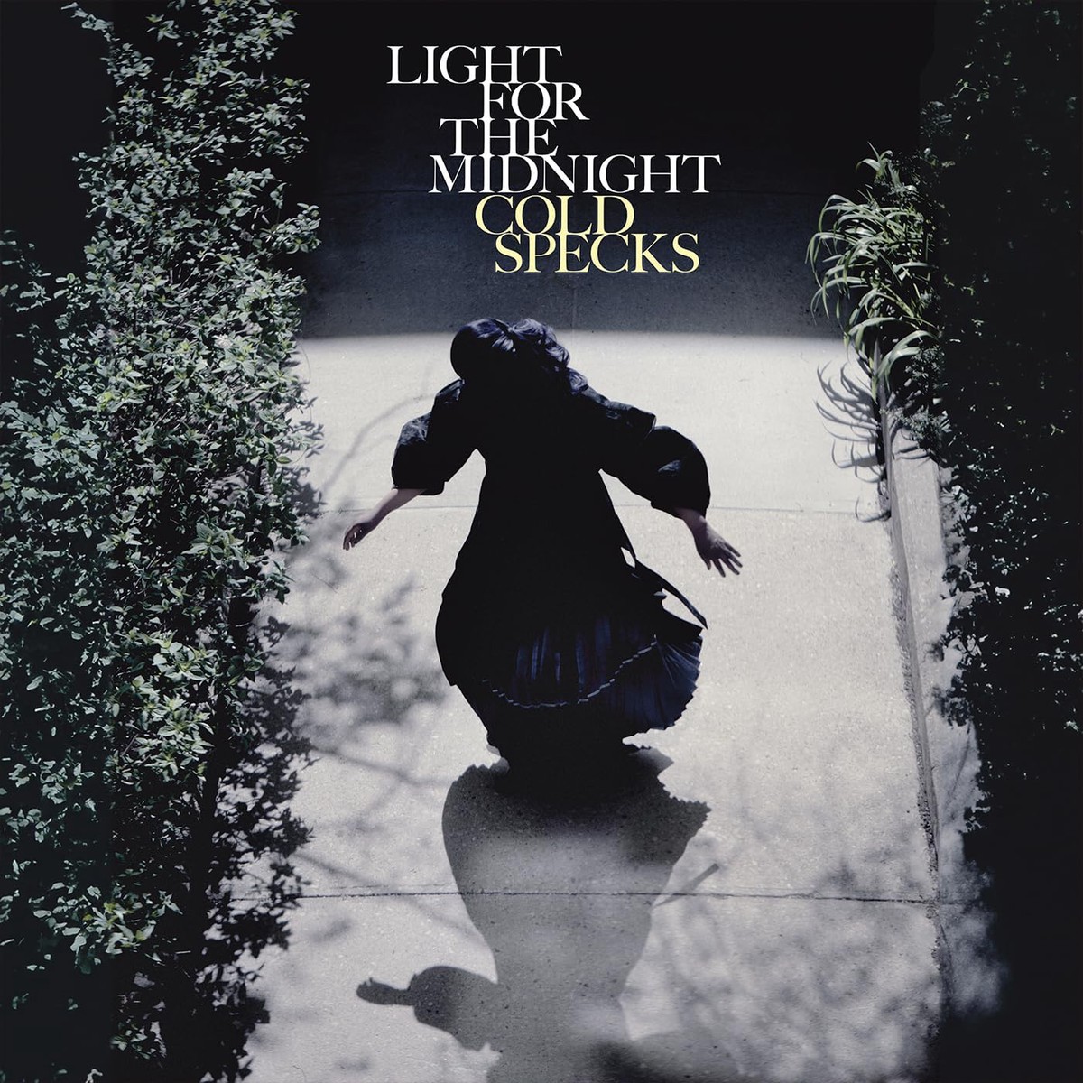 LP – Cold Specks – Light for the Midnight