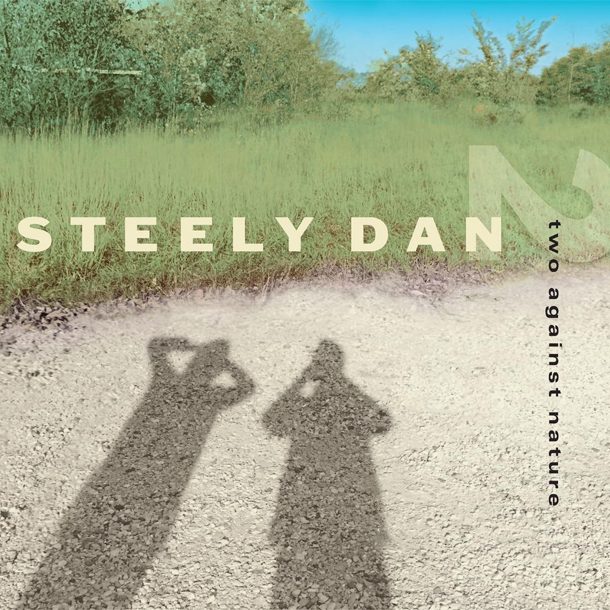 Steely Dan Two Against Nature Vinyl LP Clear Colour 2026
