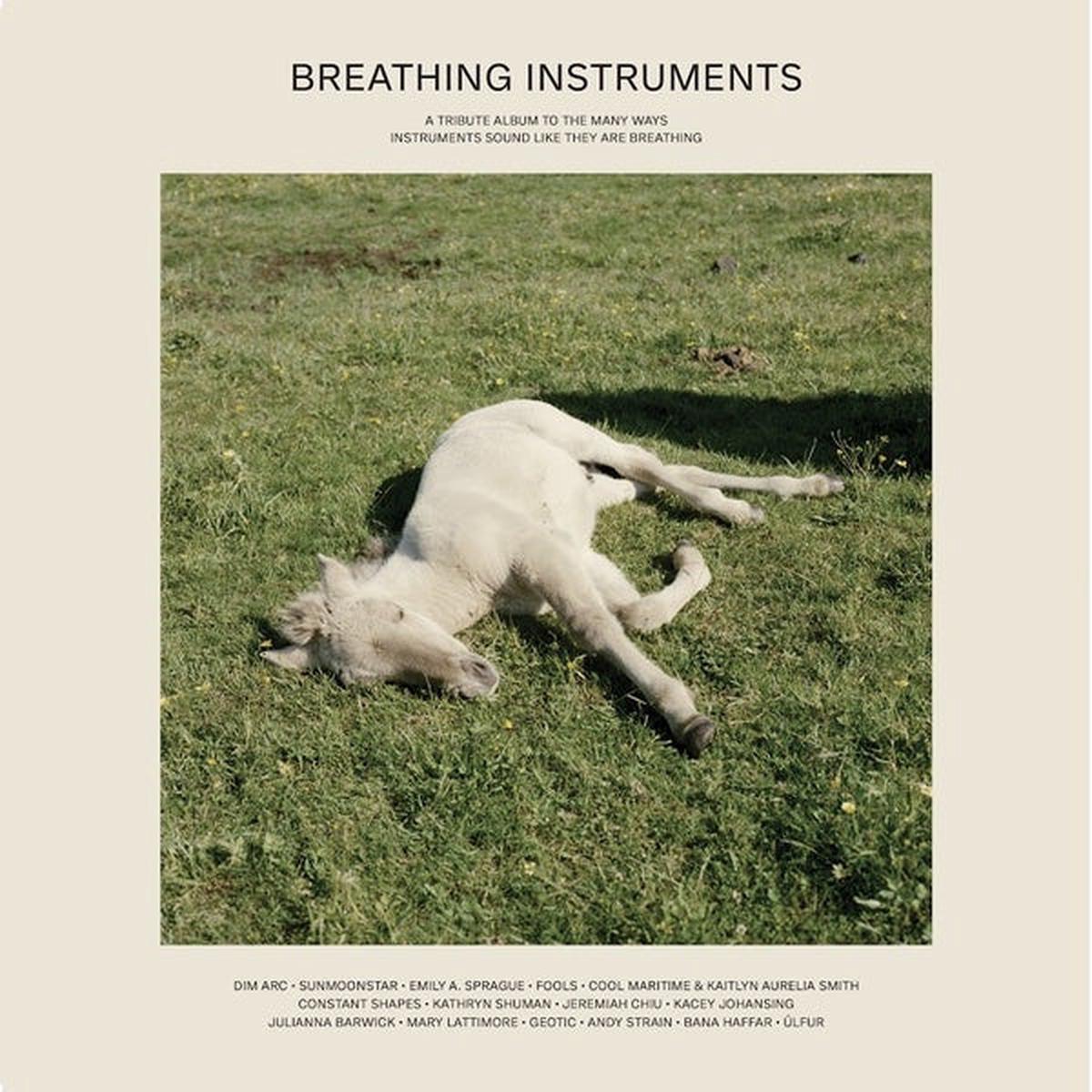 Breathing Instruments | – Default Title