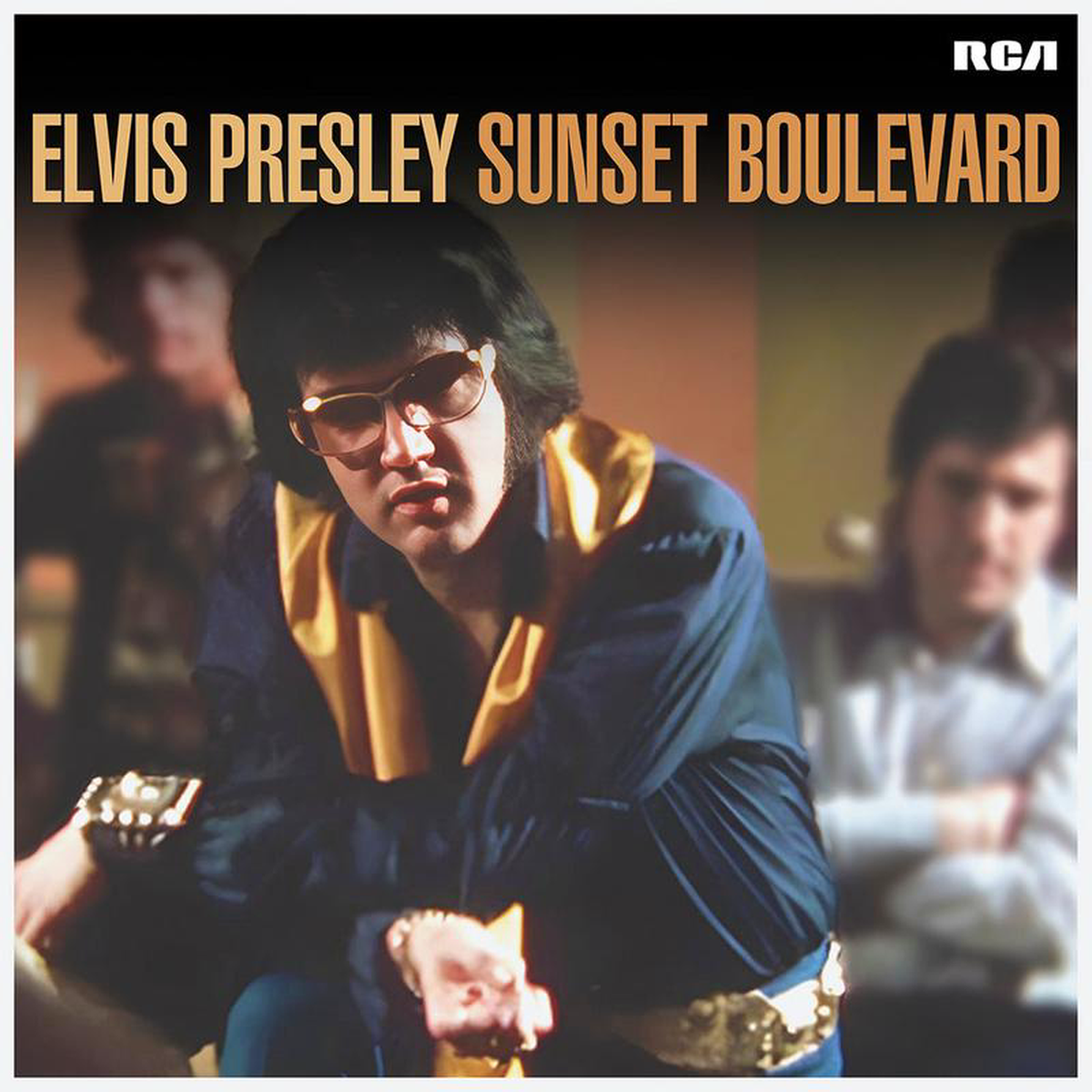 ELVIS PRESLEY 8211 Sunset Boulevard (Highlights) 8211 2LP 8211 Gatefold Vinyl AUG 1