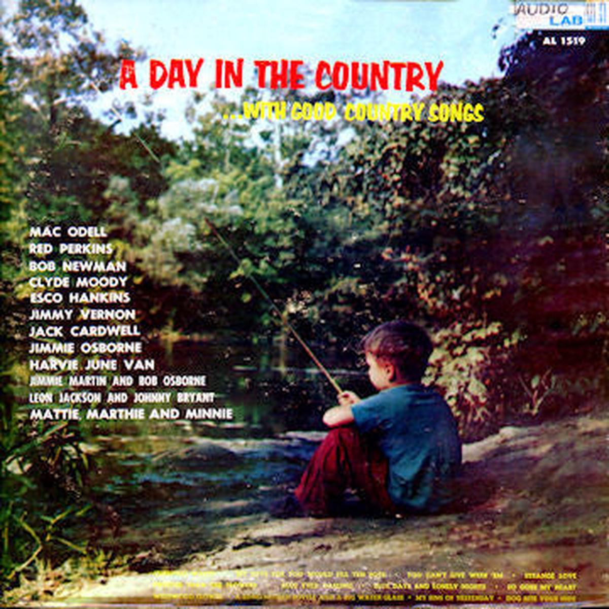 Various – A Day In The Country…With Good Country Songs – LP