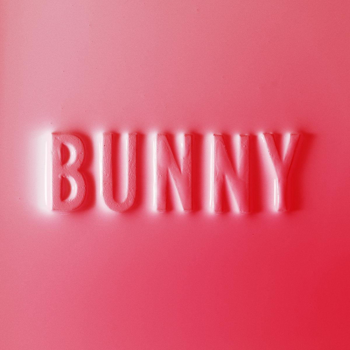 Matthew Dear 8211 Bunny 2LP
