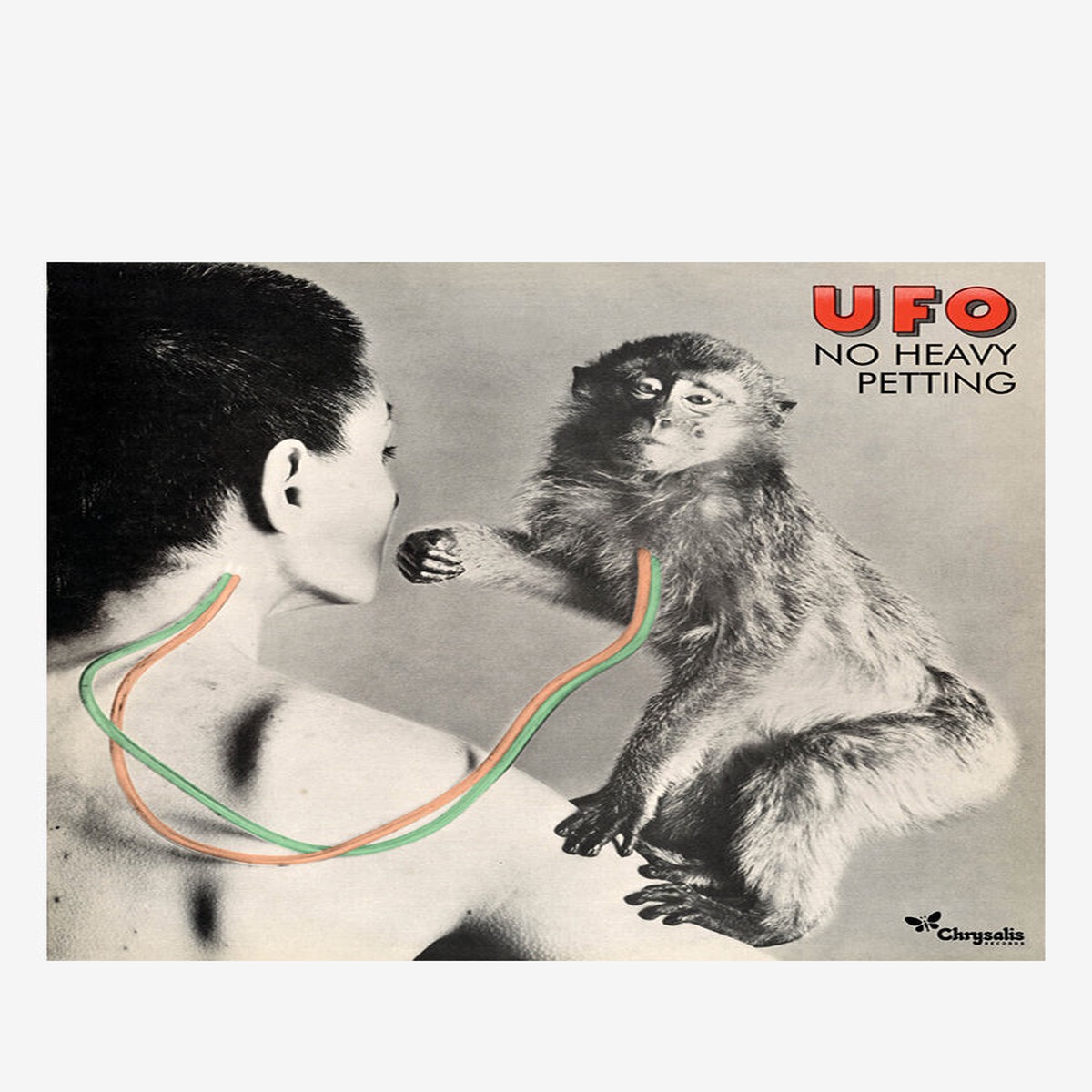 No Heavy Petting Deluxe Edition 3LP (Clear)