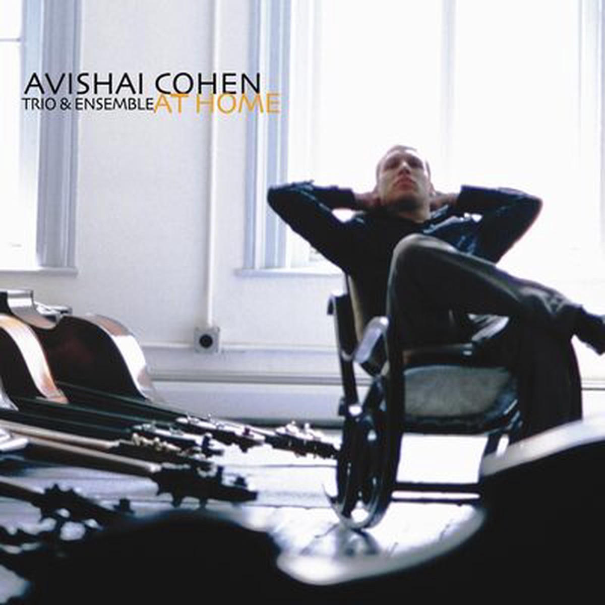 At Home – Avishai Cohen [VINYL]