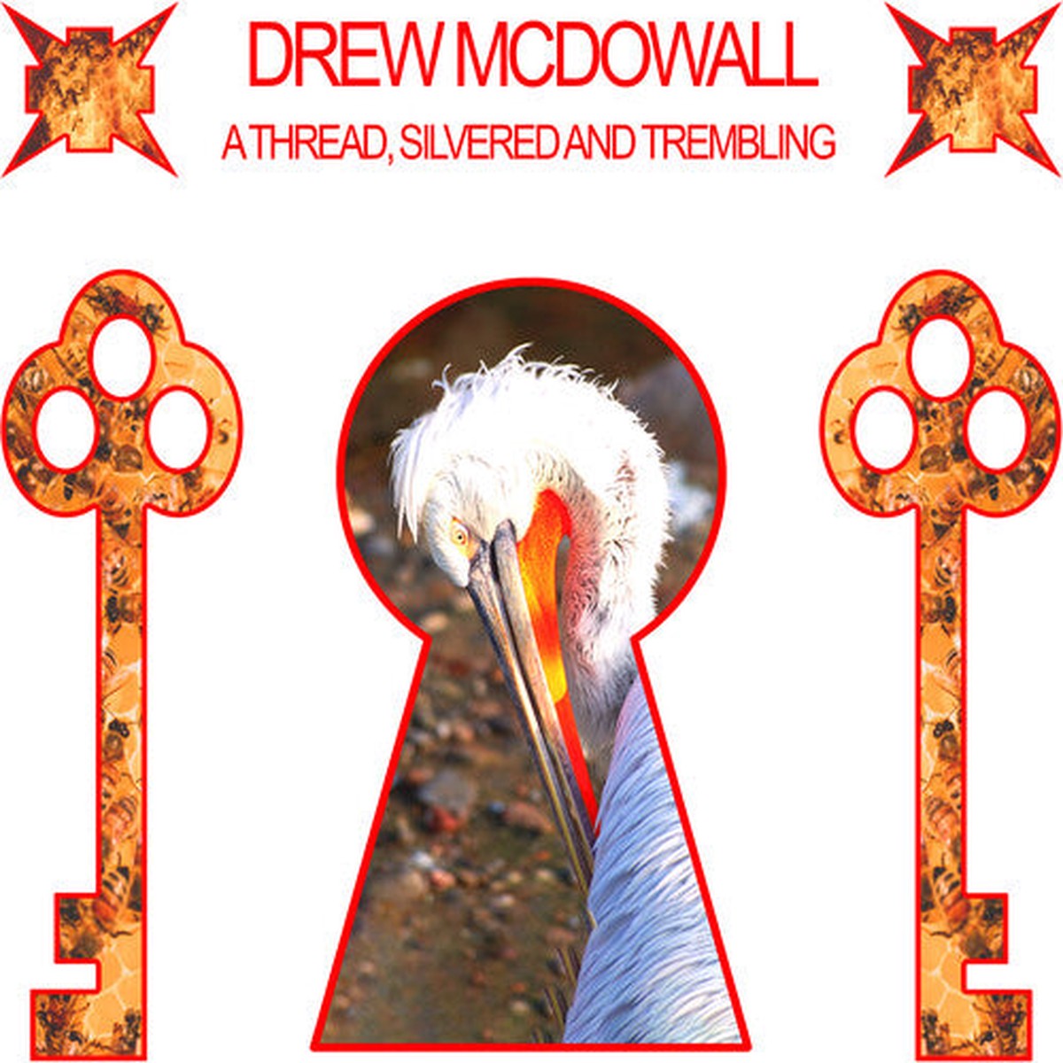 Drew McDowall A Thread, Silvered and Trembling – Record Album – Vinyl LP