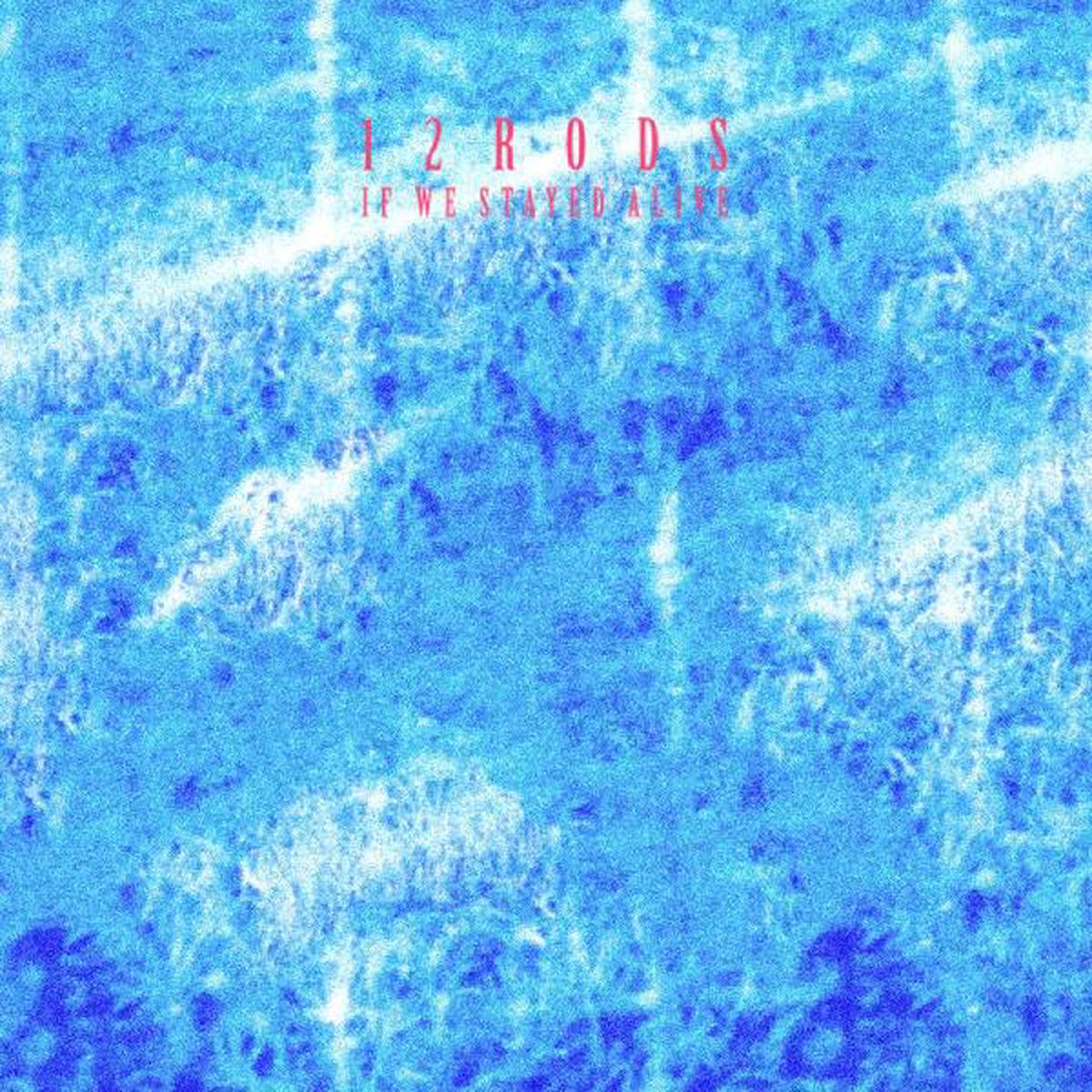 12 Rods If We Stayed Alive - Default Title