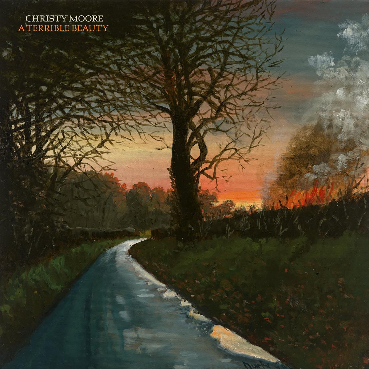 A Terrible Beauty 8211 Christy Moore VINYL