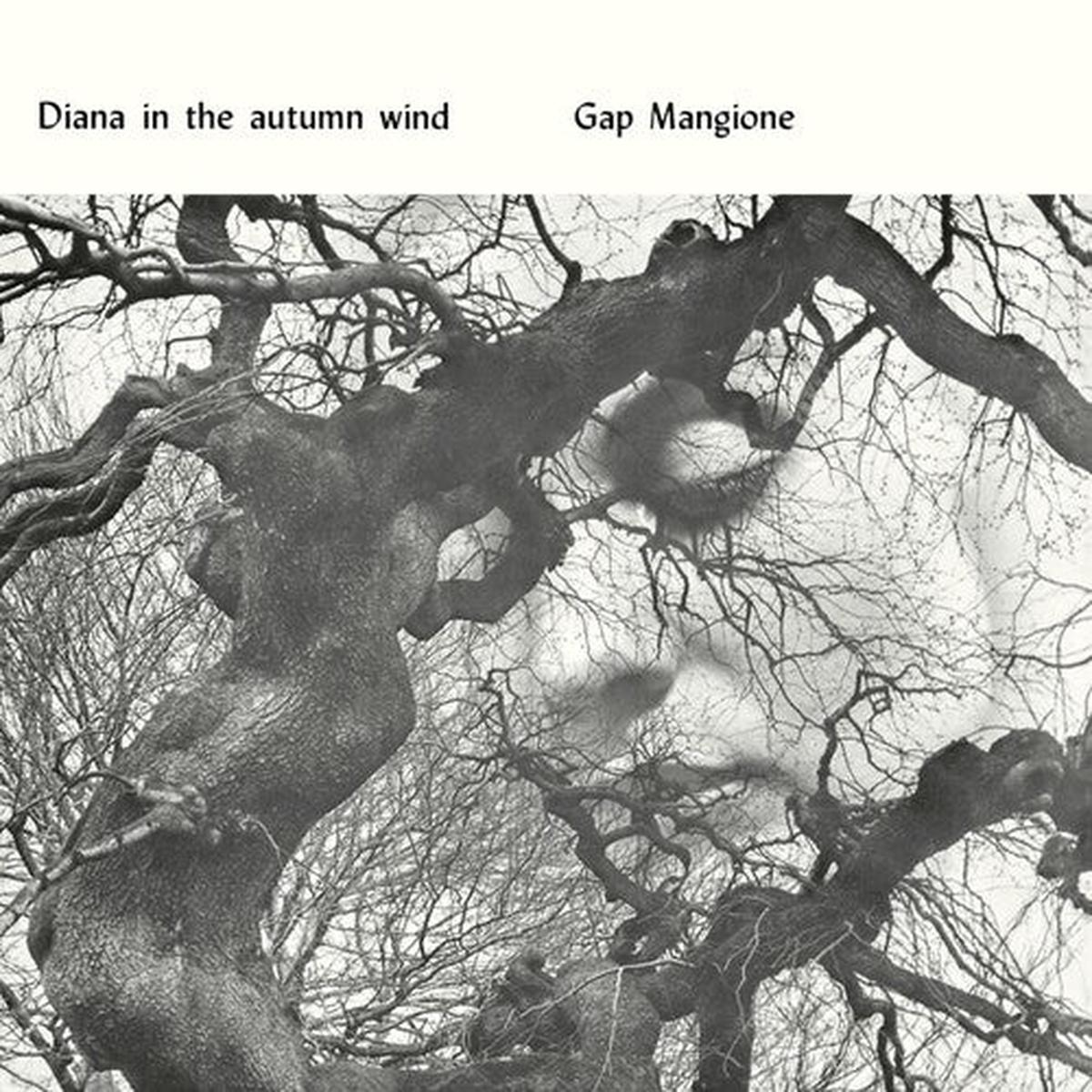 (PRE-ORDER 5/1/26) Diana In The Autumn Wind (VINYL) | Mint (M) Mint (M) - - ALT/INDIE *NEW*