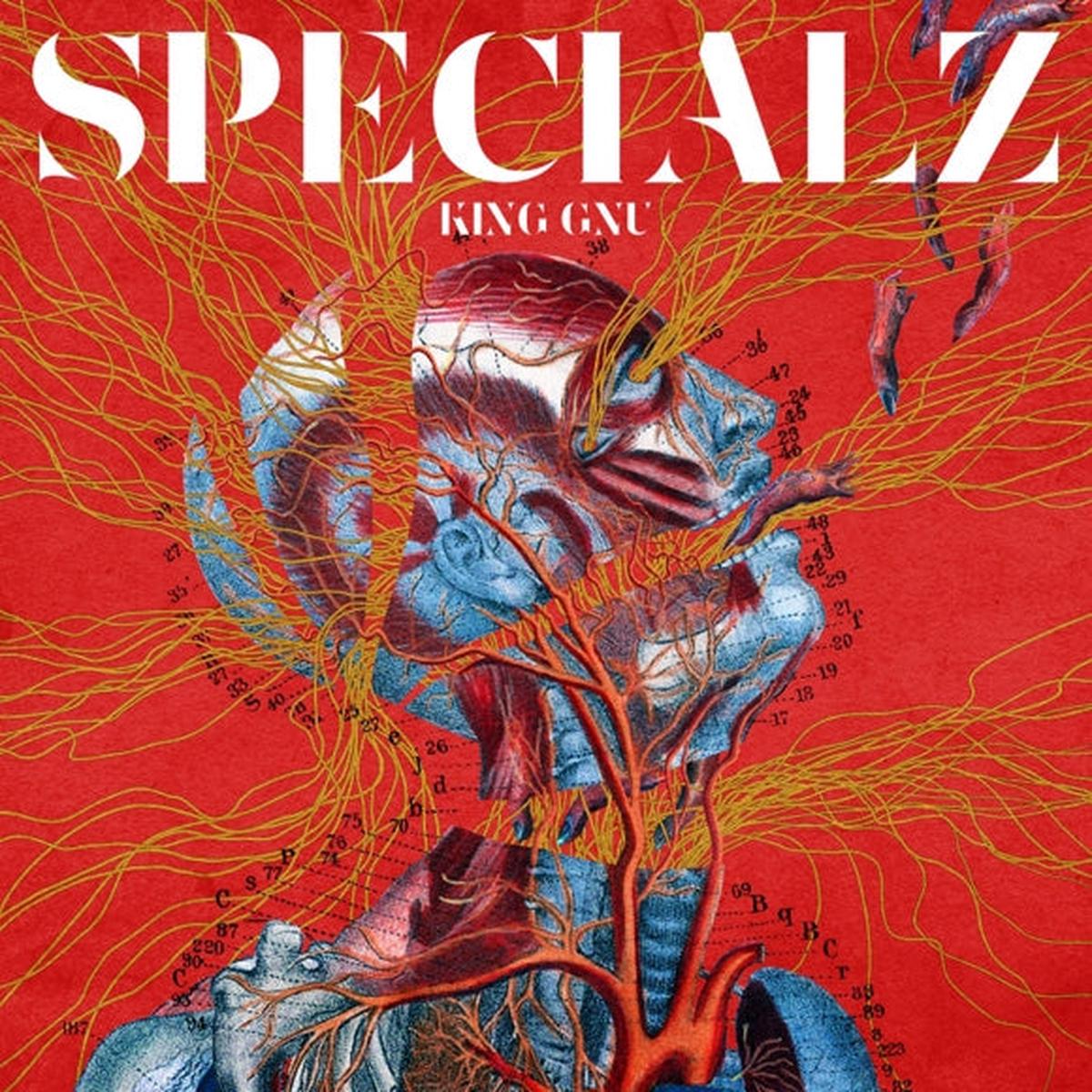 (Theme Song) Jujutsu Kaisen TV Series Shibuya Incident OP SPECIALZ by King Gnu Regular Edition