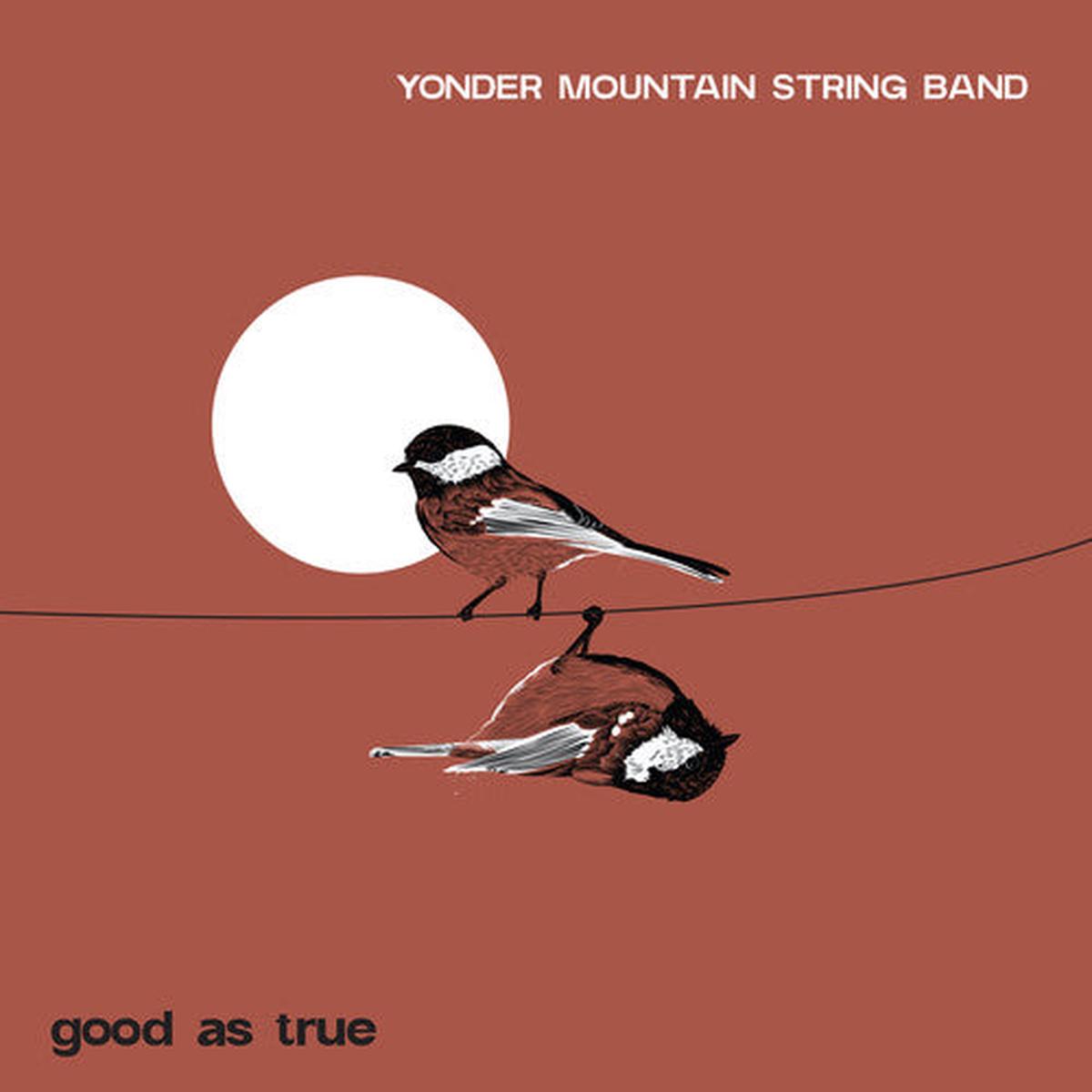 Yonder Mountain String Band: Good As True - COMPACT DISCS