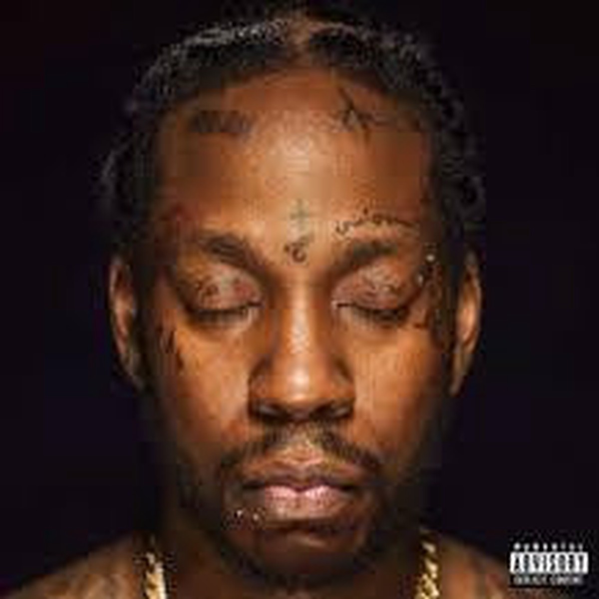2 CHAINZ-COLLEGROVE CD *NEW*