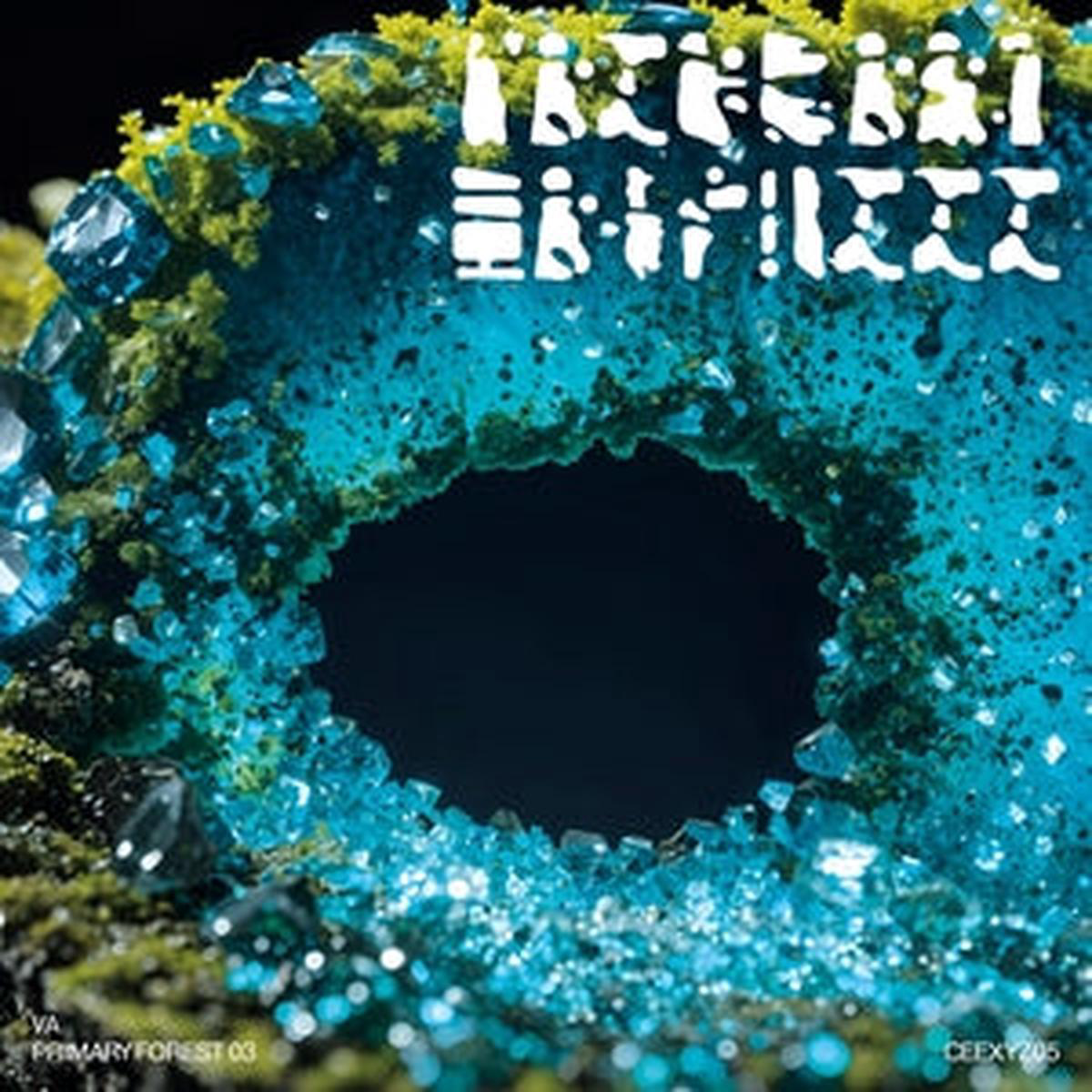 Various 8211 Primary Forest 03 (New Vinyl)