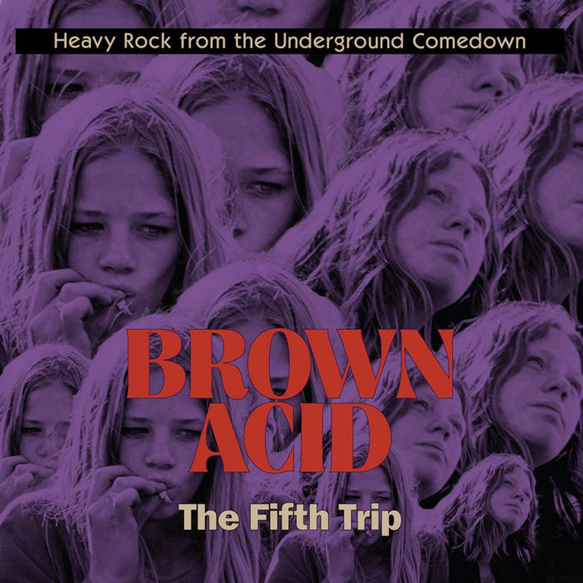 Various - Brown Acid: The Fifth Trip (New Vinyl)