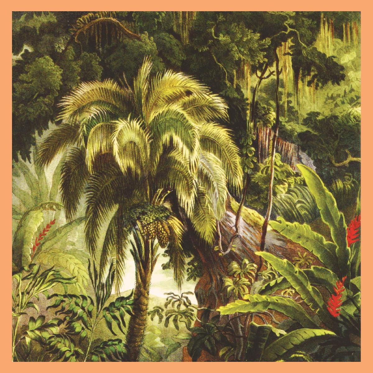 Xiu Xiu - La Foret (Sunset Swirl Vinyl) (New Vinyl)