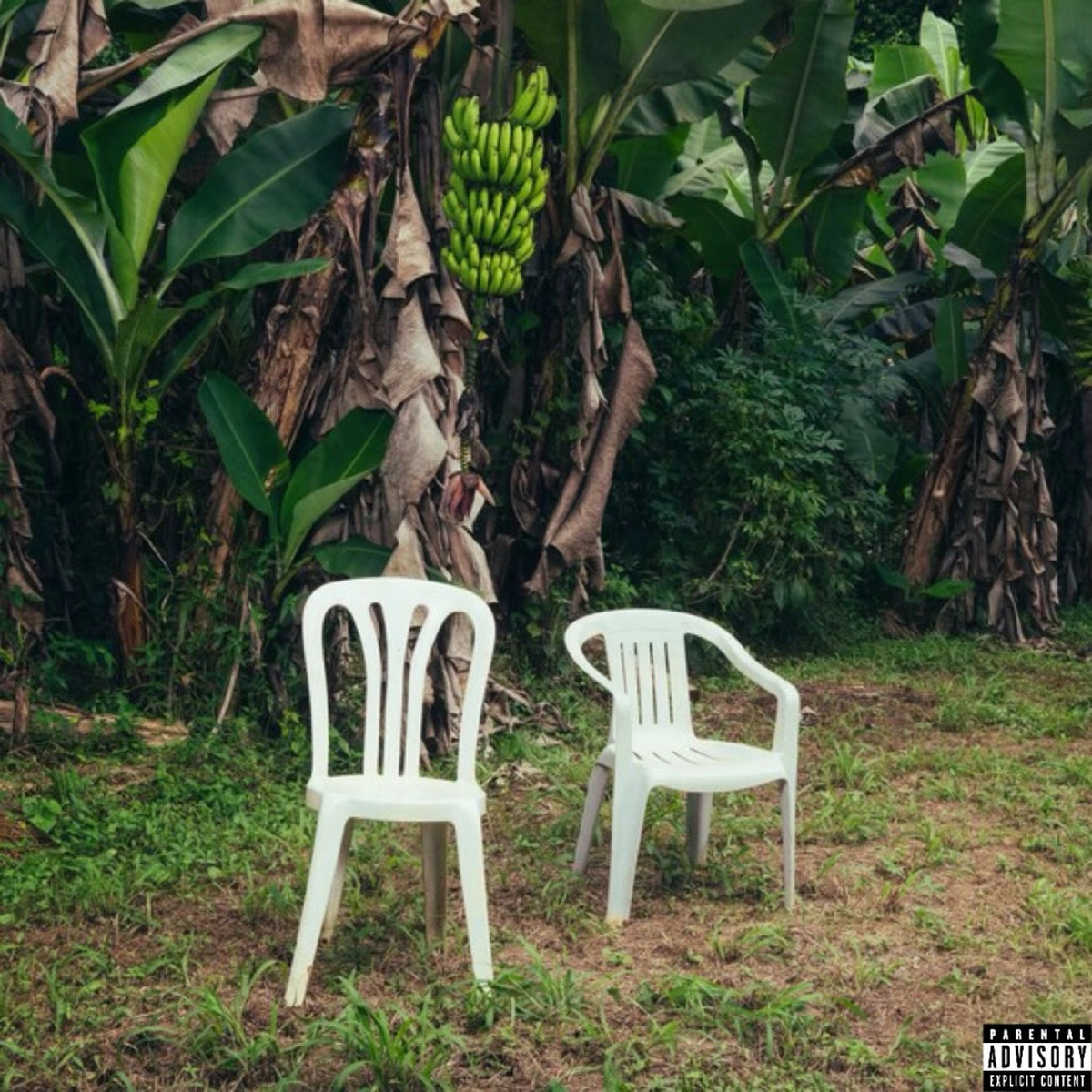 Bad Bunny - DeB TiRAR MS FOToS (New Vinyl)