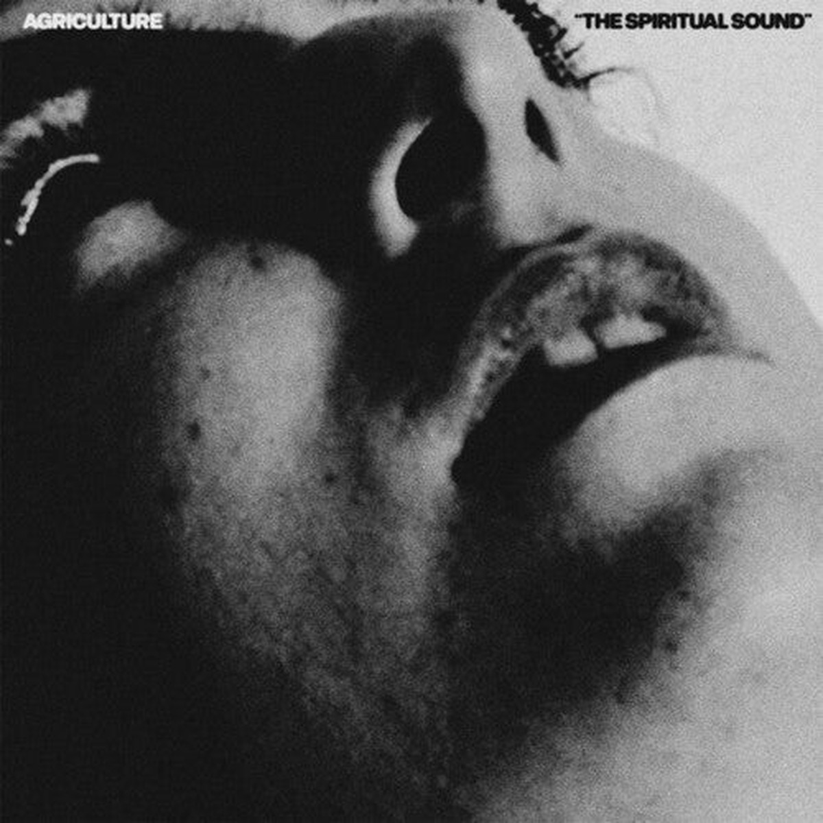 Agriculture - The Spiritual Sound [Colored Vinyl]