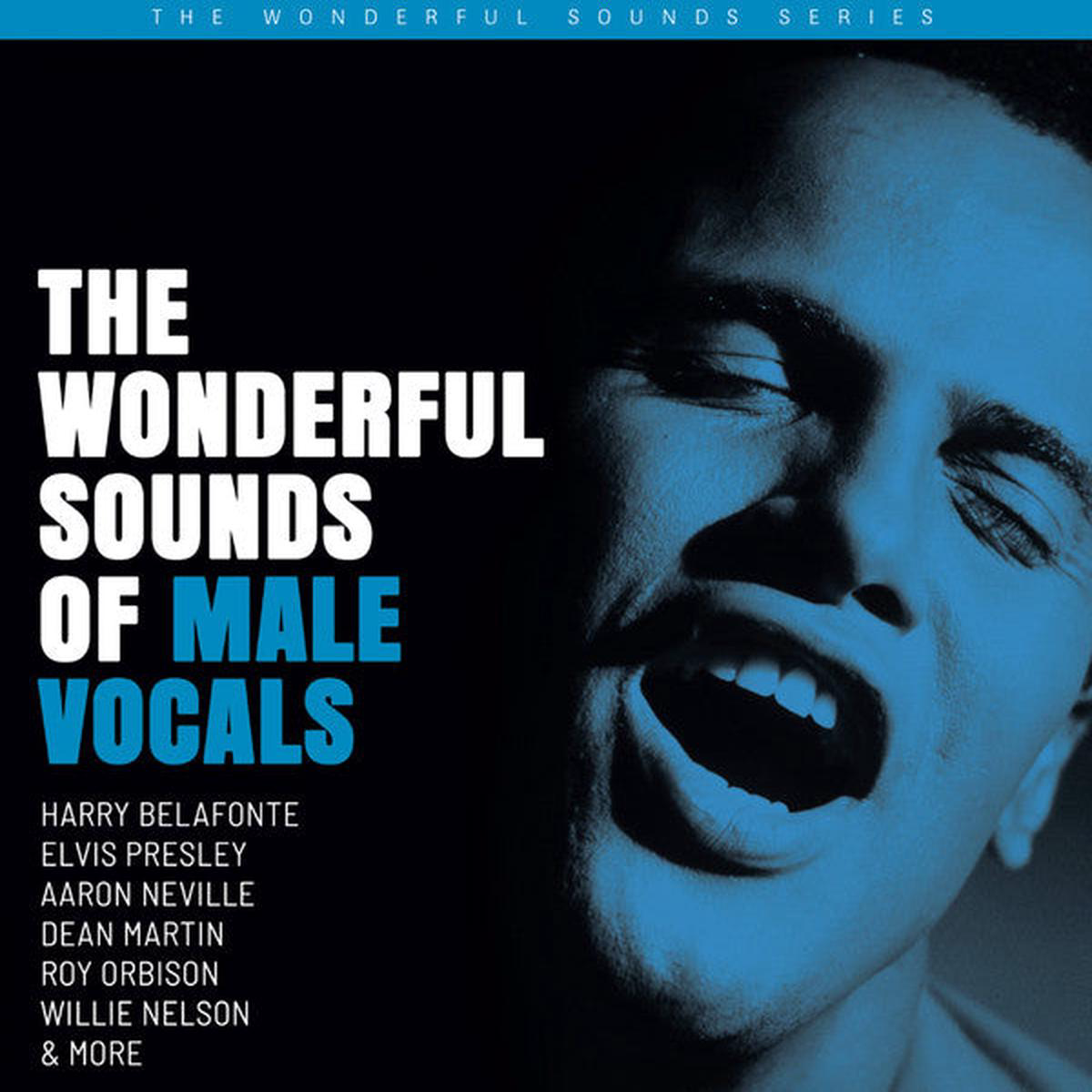 Various 8211 The Wonderful Sounds Of Male Vocals