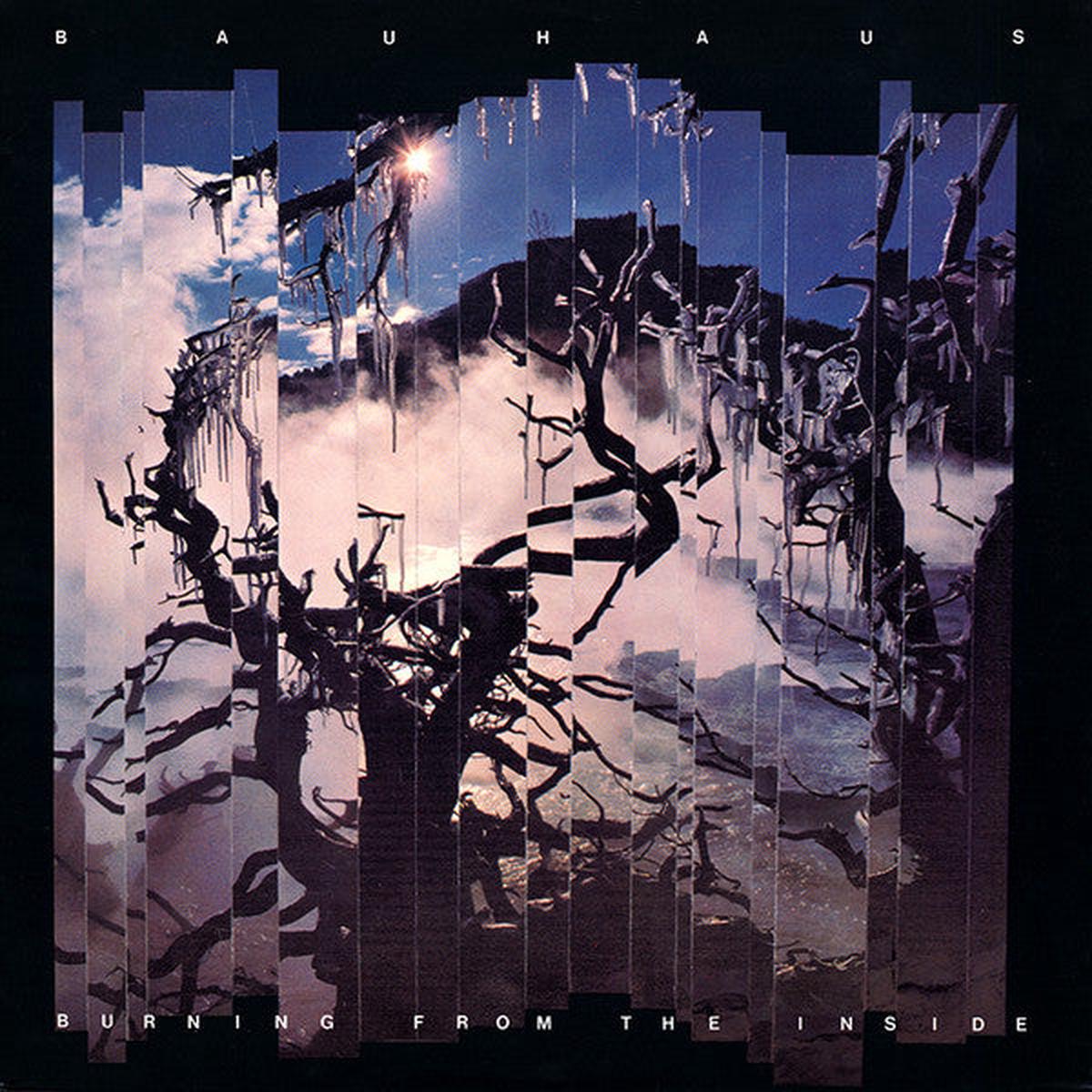 Bauhaus Burning From The Inside LP