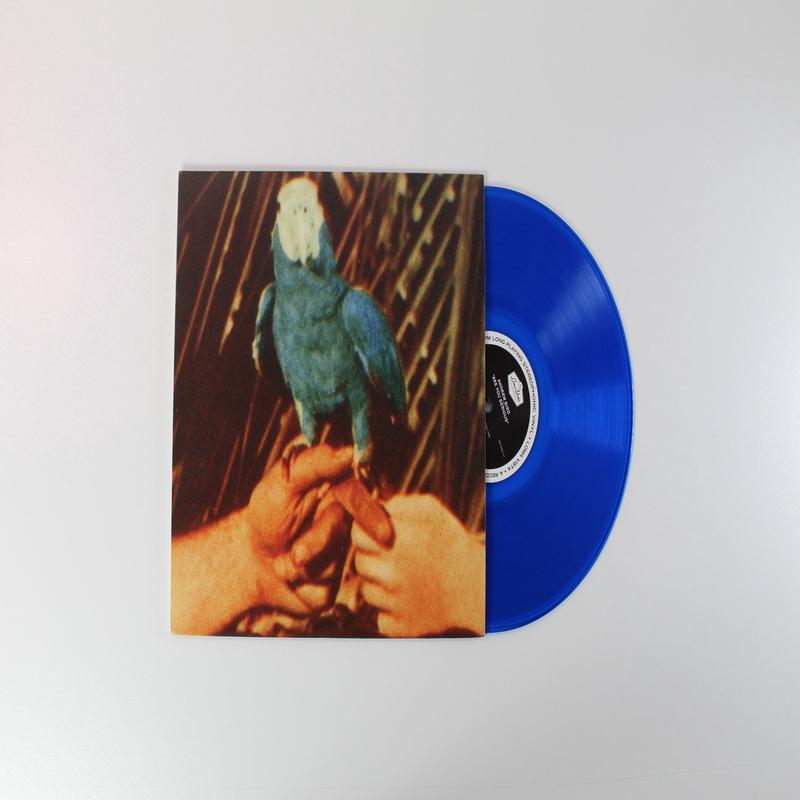 Andrew Bird - Are You Serious on Loma Vista Deluxe Edition Blue Vinyl LP With Red Vinyl 7"