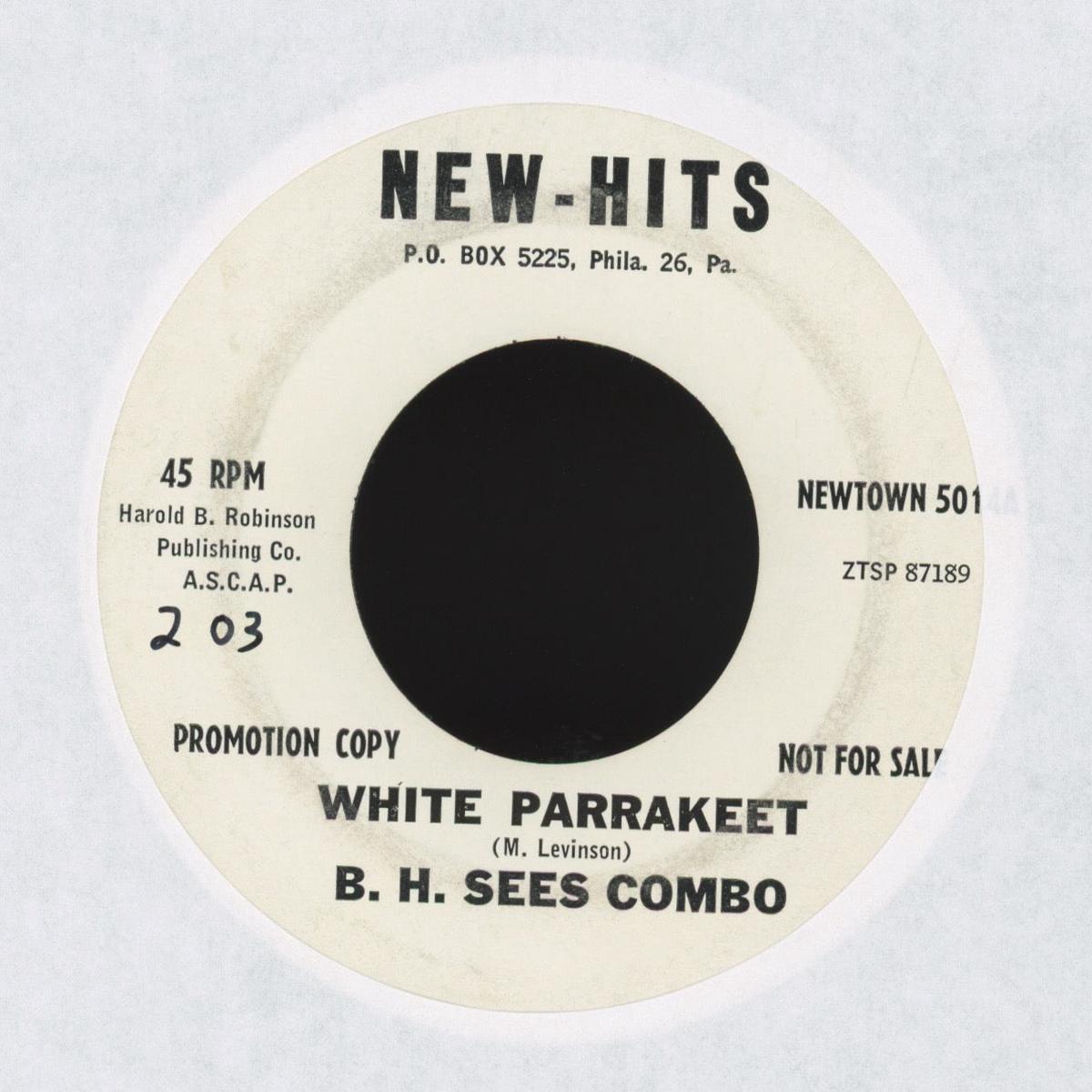 BH Sees Combo - White Parrakeet on New Hits Promo Instro Rocker 45 Bill Haley