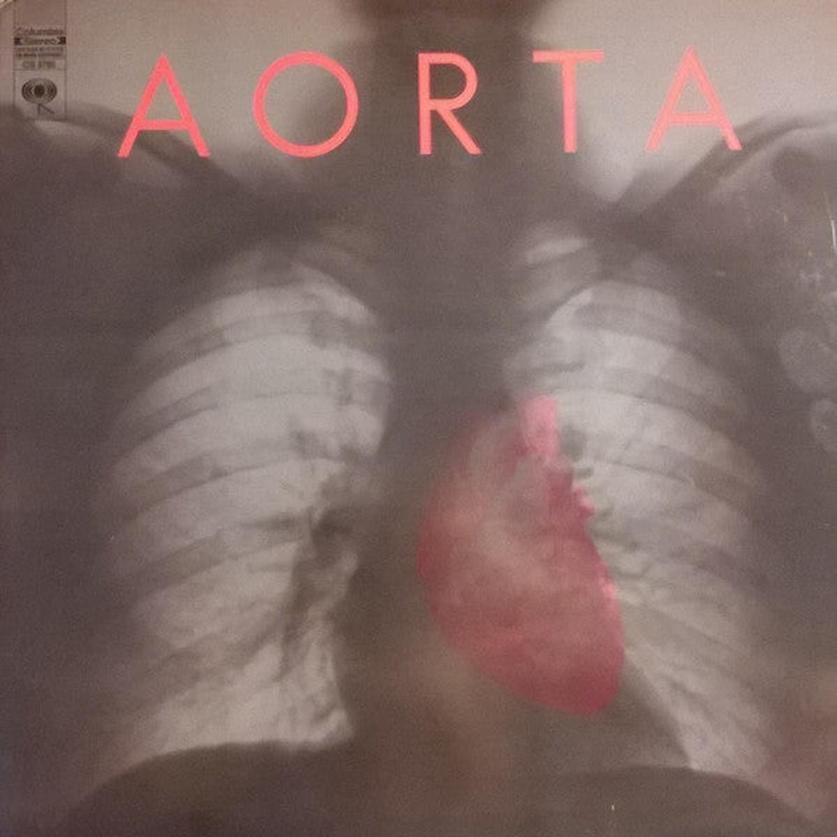 Aorta 8211 Aorta