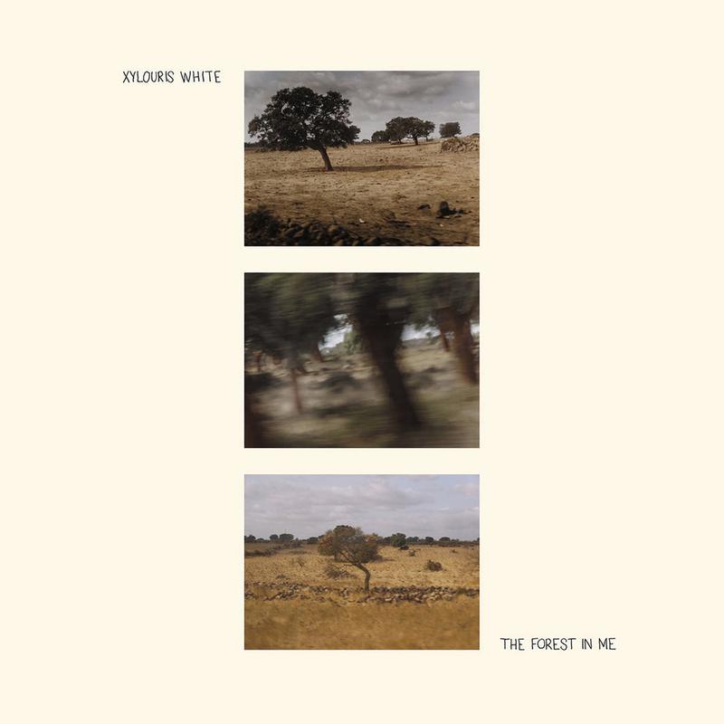 XYLOURIS WHITE - The Forest In Me - LP - Vinyl