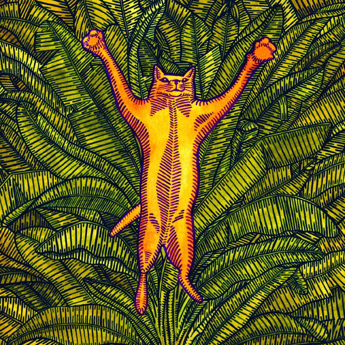 Brian Marsella - Gatos Do Sul ((CD)) - Default Title