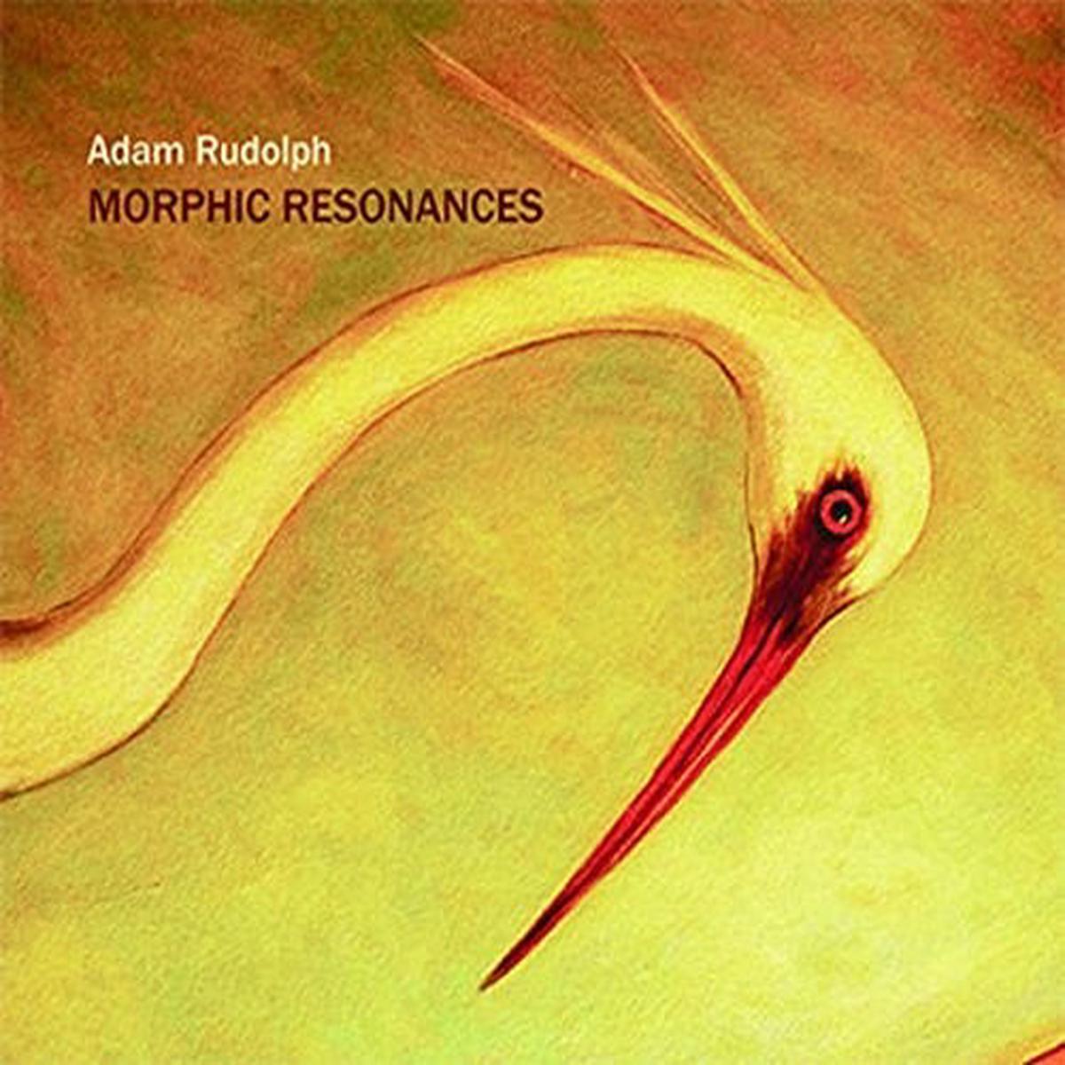 Adam Rudolph- Morphic Resonances (CD)