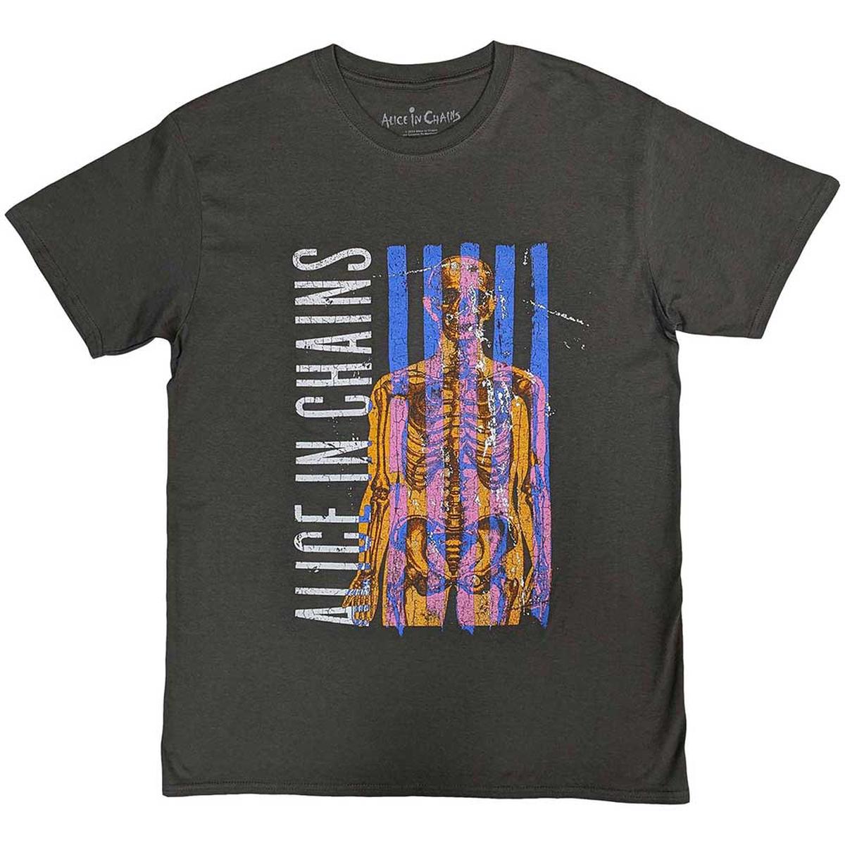 Alice In Chains Skeletal - Grey | 2XL