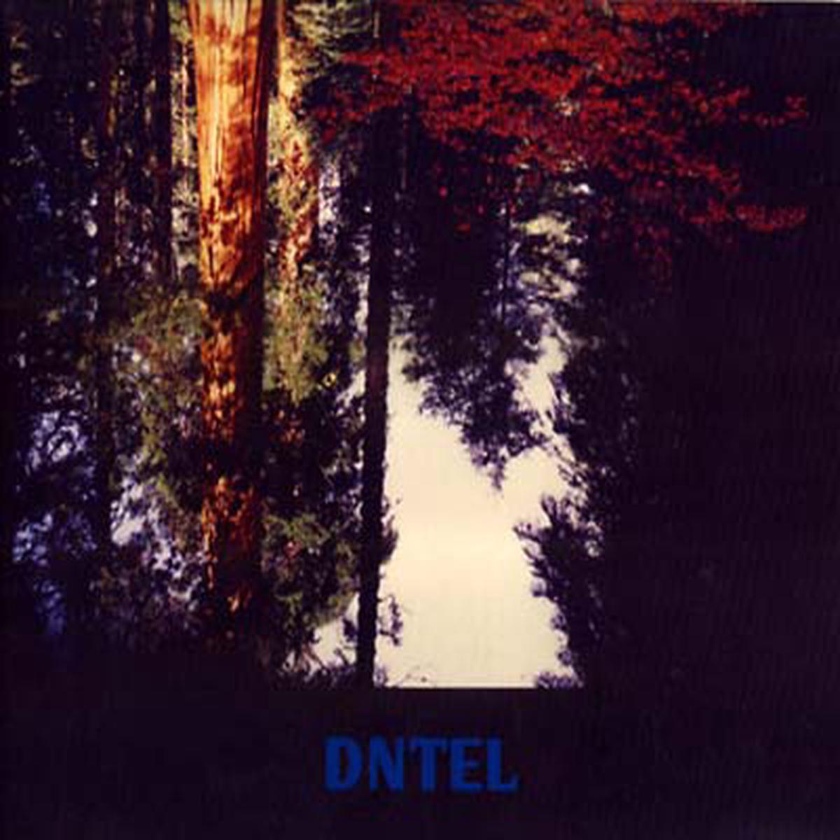 DNTEL - Aimlessness ((CD)) - Default Title