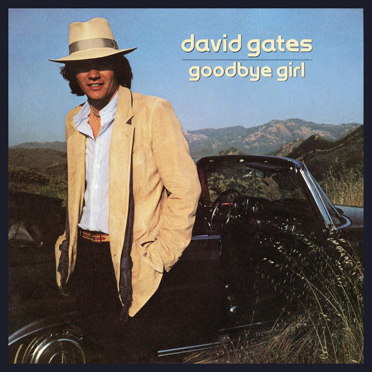 David Gates - Goodbye Girl (LP, Album, SP ) (VG+)