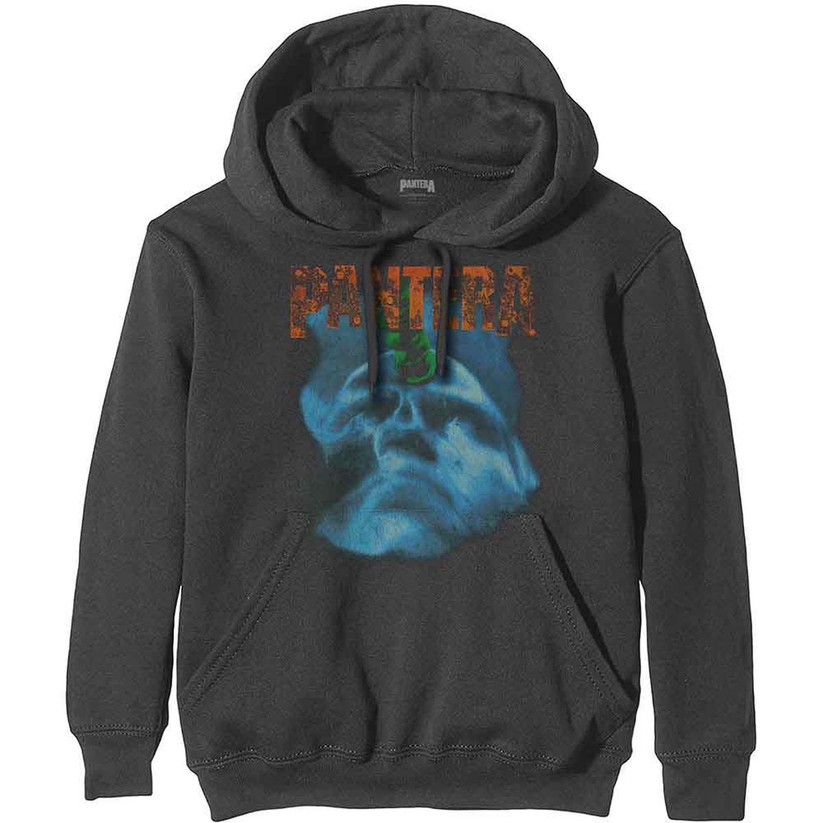 Pantera Far Beyond Driven World Tour - Grey | L