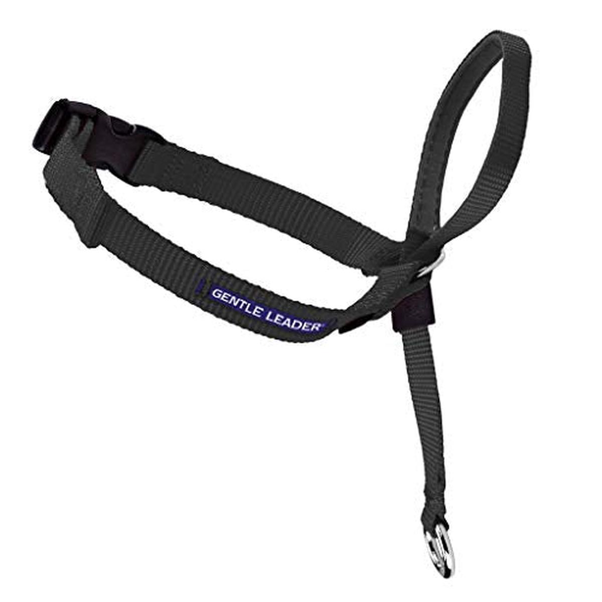 Premier Gentle Leader Head Dog Collar, Black, Small - Black | Medium