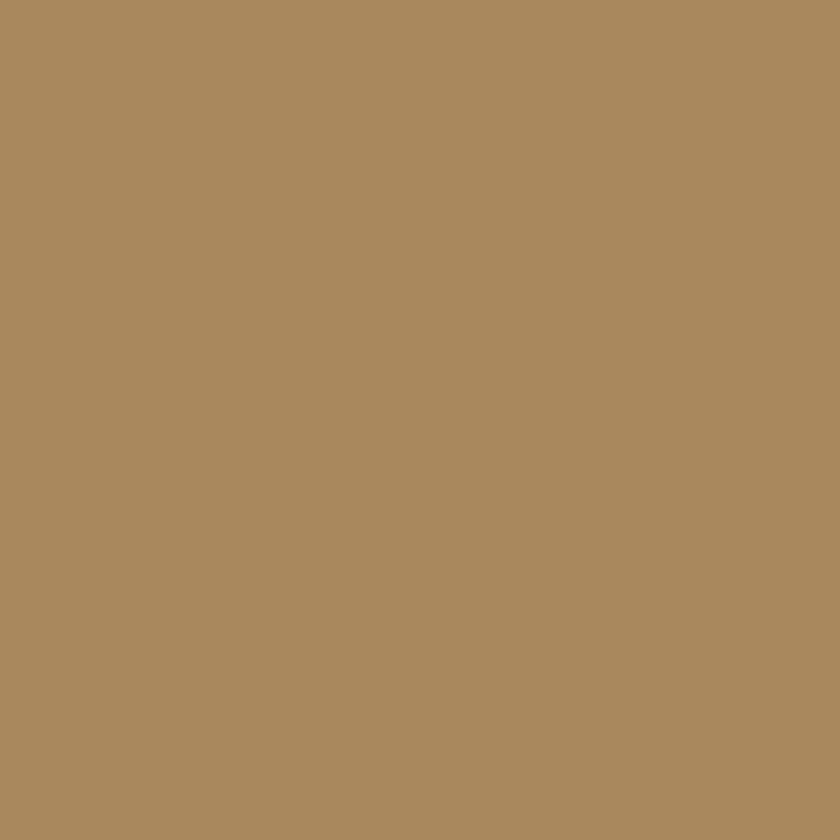 Oracal 651 Colored Outdoor Sign Vinyl, 12 and 24 inch rolls - Light Brown 081 | 12 inch x 10 feet
