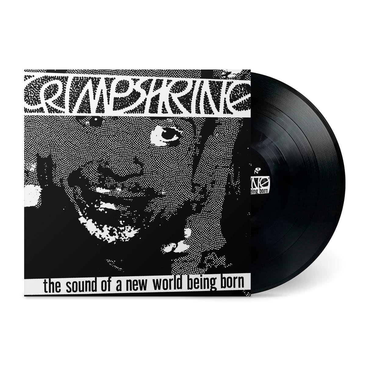 The Sound Of A New World Being Born - LP