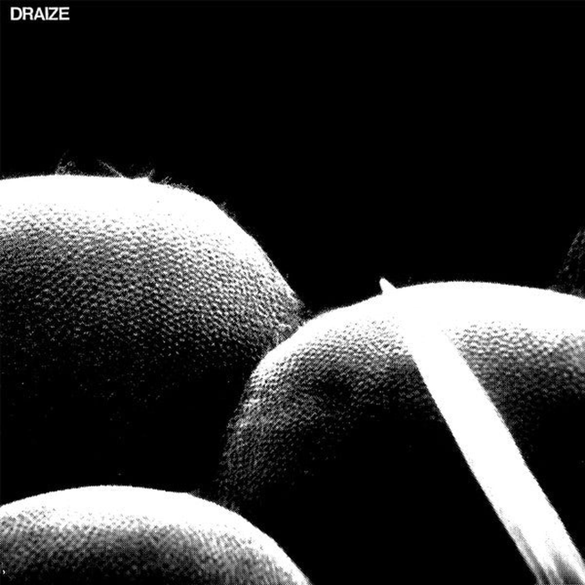 Draize - Draize (12", Album) (VG+)