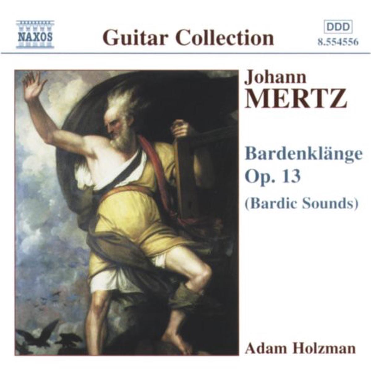 Adam Holzman- Bardenklange Op 13: Bardic Sounds (CD)
