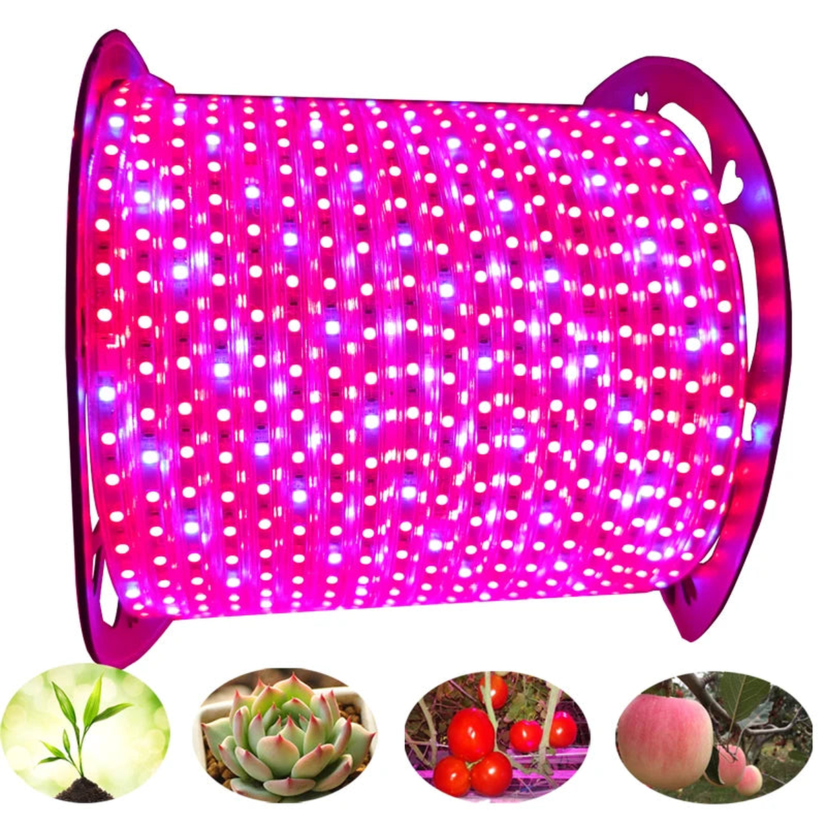 100M 50M LED Plant Grow lights Strip Full Spectrum IP67 Waterproof AC220V For Greenhouse Hydroponic Seed VEG Flower Phyto Lamp - 220V EU Plug | 20M Set | China Mainland