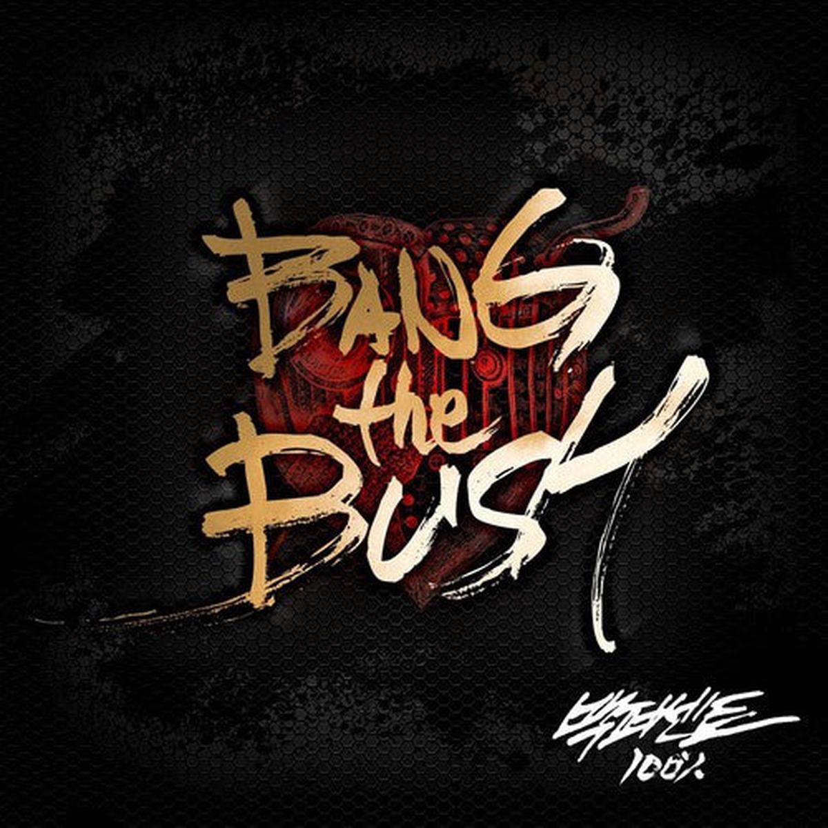 100 Percent: Bang the Bush - COMPACT DISCS