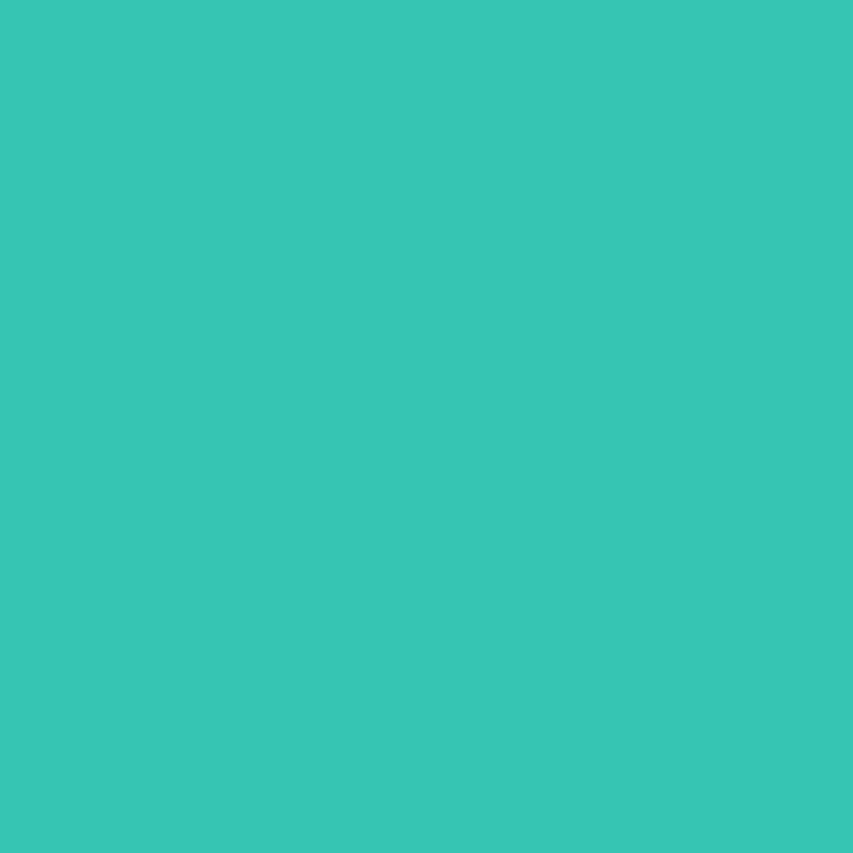 SHEETS OF Oracal 651 Colored Outdoor Adhesive Sign Vinyl - Mint Green 055 | One sheet of 12 x 24 inch