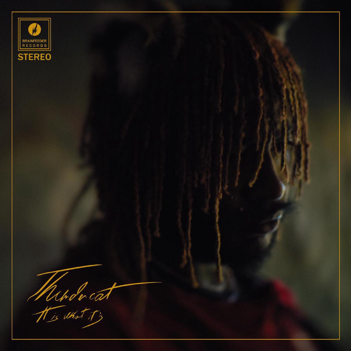 Thundercat It Is What It Is - Default Title