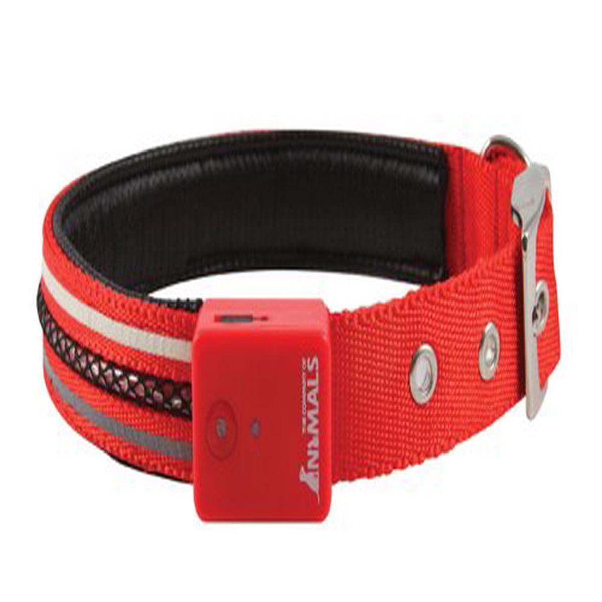 VIVID Collar LED Illuminating RED LARGE - Default Title